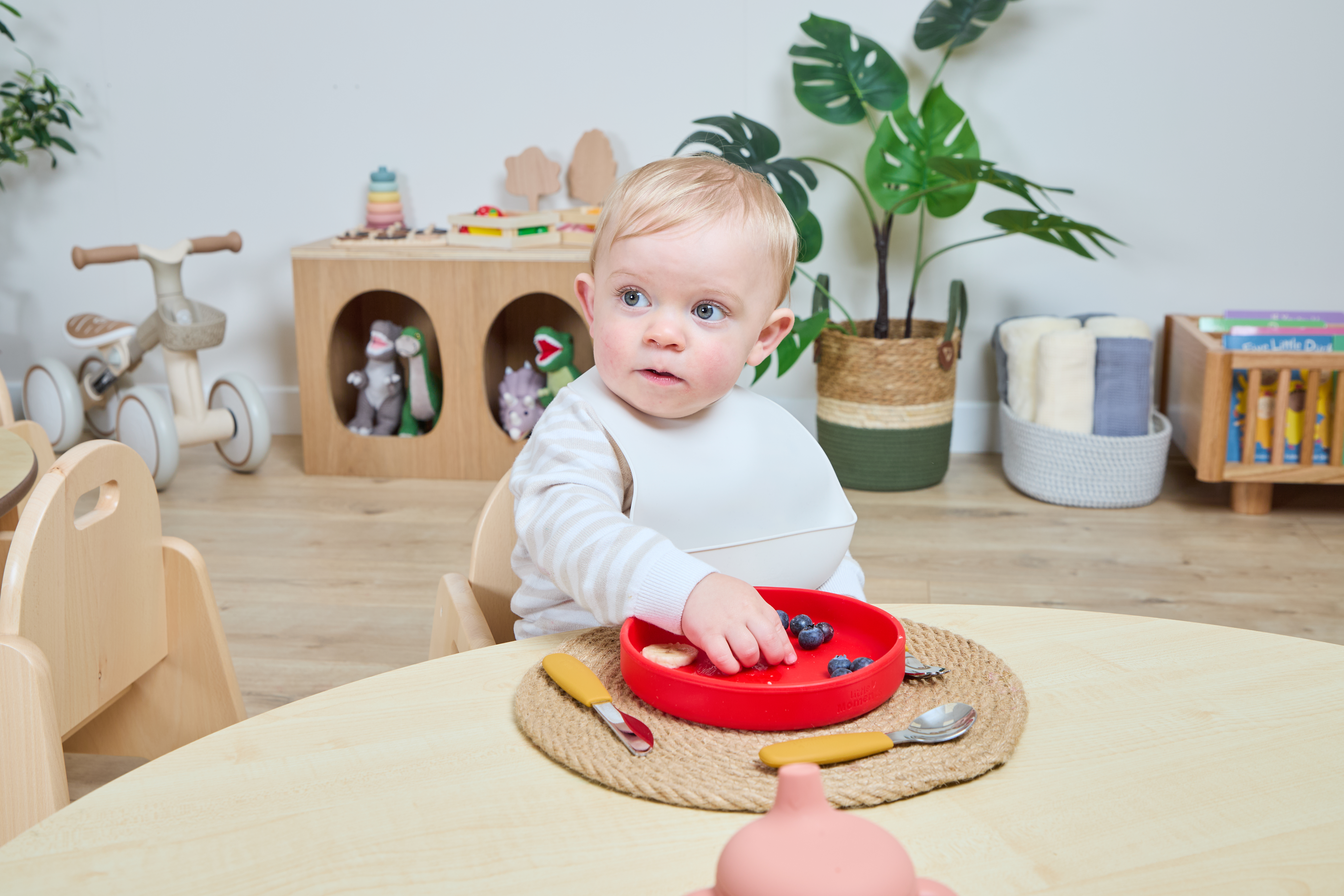 Allergy safe dietary plates view 2