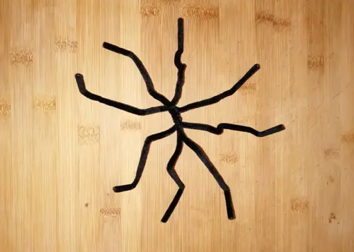 pipe-cleaner-spider-step-4