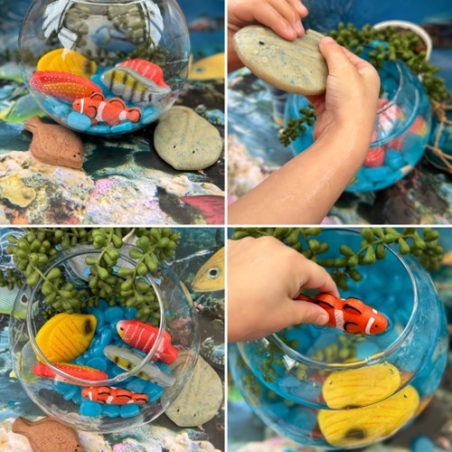 Fish Aquarium
