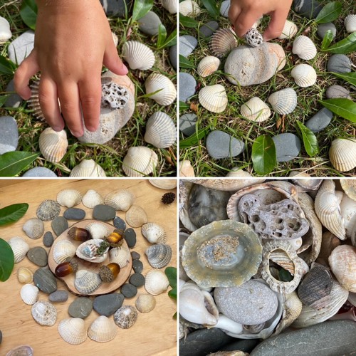 Shell Mandalas