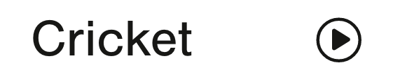8-cricket-mobile.png