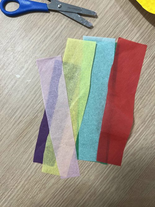 tissue strips