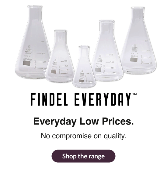 Findel Everyday.png